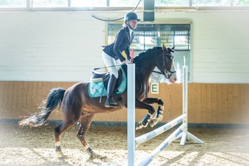 Album: Einsteiger 60cm - 